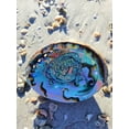 thumbnail image 3 of IMPERFECT Vibrant 6"-6.5" Large Abalone Shells, Discounted!, 3 of 10
