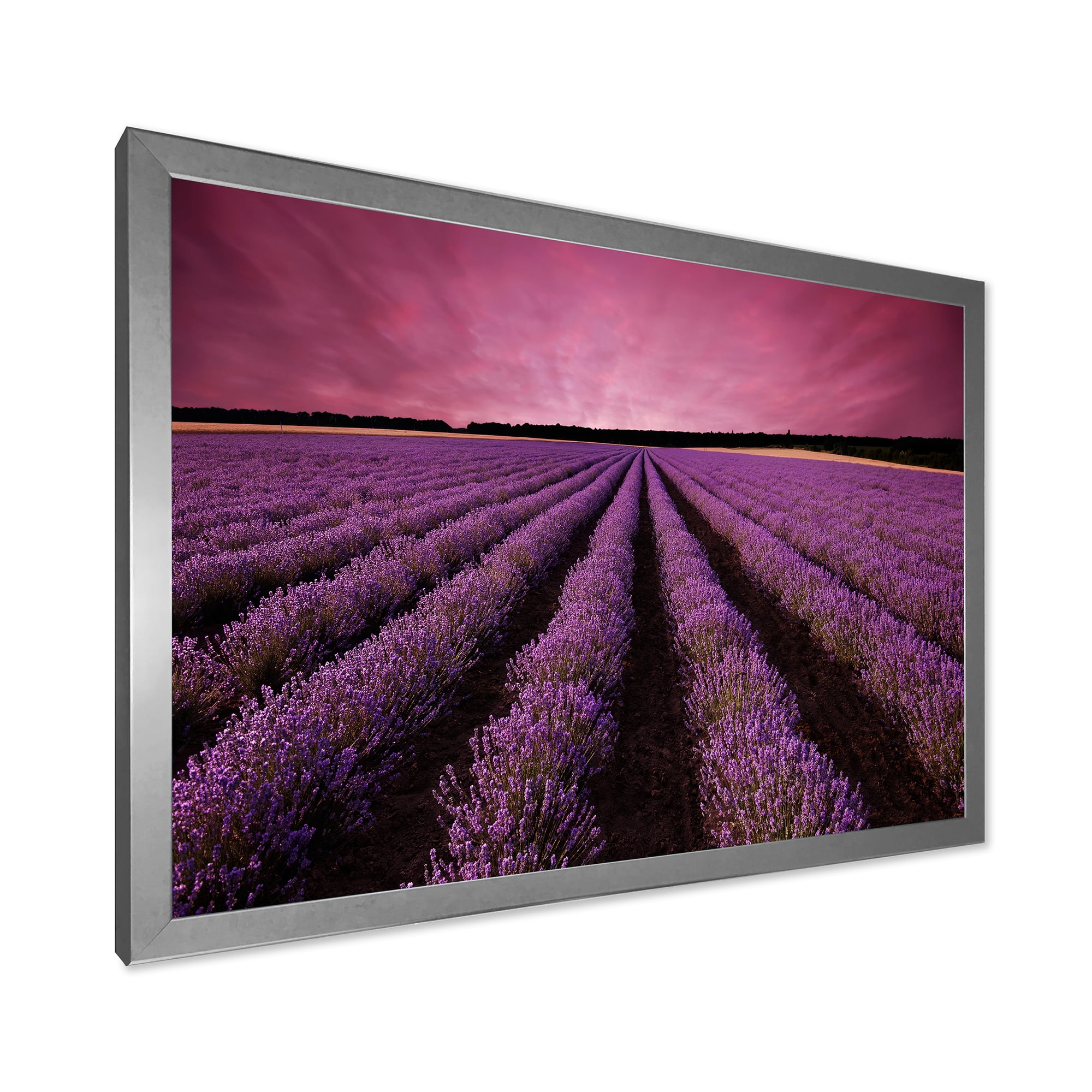 Designart 'Dramatic Clouds and Sunrise Over Lavender Field XI' Farmhouse Framed Art Print