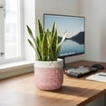 thumbnail image 4 of Ordivic 6 Inch Pink Ceramic Planter with Drainage Hole – Small Round Flower Pot for Succulents, Orchids, Indoor Outdoor, Boho Home Decor, Gift for Plant Lover, 4 of 7