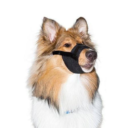 - Premier Pet Dog Muzzle for Large Dogs - Padded Nylon for Safe, Comfortable Fit - Allows Panting; Stops Biting, Nipping and Barking - Adjustable at Neck and Snout