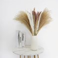 thumbnail image 6 of CreativeArrowy Tall Pampas Grass Fluffy Artificial Stems Dried Reed Flowers Bouquet Home Wedding Decoration Multicolor Floating Dust, 6 of 11