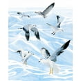 thumbnail image 2 of Warren, Annie 20x24 White Modern Wood Framed Museum Art Print Titled - Seagull Soiree I, 2 of 4