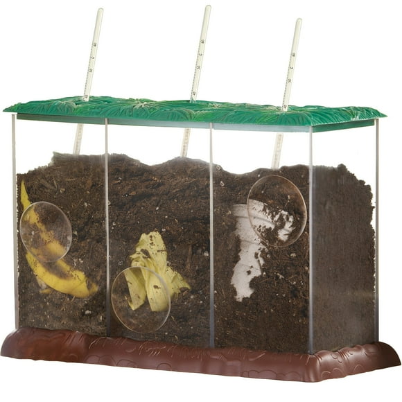 Educational Insights Conteneur de Compost Transparent - Kits STEM pour Enfants, Kit de Sciences de la Terre pour École à Domicile Ou en Classe, Pratique Observation & Apprentissage de la Nature, Scientifique