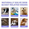 thumbnail image 2 of Dog Chews, Dog Treats, 120 Softchews, 2 of 8