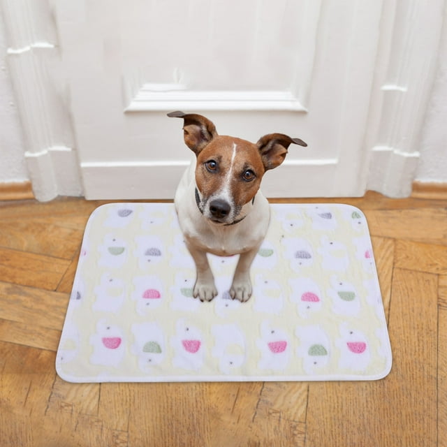 Soft Reversible Pet Bed Mat for Cats and Dogs Cushioned Comfortable Washable Durable Floor Crate Pad for Indoor Use