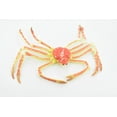 thumbnail image 6 of Crab, Spider Crab, Museum Quality, Hand Painted, Rubber Crustaceans, Realistic Toy Figure, Model, Replica, Kids, Educational, Gift, 7" CH271 BB124, 6 of 7