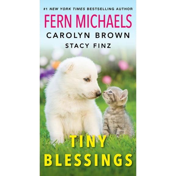 Pre-Owned Tiny Blessings (Mass Market Paperback) 1420155822 9781420155822