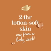 Dove Body Wash For 24hr Lotion-Soft Skin Pamper Shea Butter & Vanilla Moisturizing Skin Cleanser With No Sulfates No Parabens ,20 fl oz