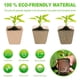 thumbnail image 3 of Plantas de macetas de Copa biodegradable Sharpla 80 piezas, 3 of 8