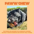 thumbnail image 5 of Paww Chew Marrow Bones for Dogs, 100% Natural Single Ingredient 7-8 inc (3 Pack) Made and Sourced in the USA, Extra Large Beef Marrow Bones for Aggressive Chewers, Real Meaty Dog Bones for Large Dogs, 5 of 6