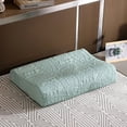 thumbnail image 1 of Zhuge 2Pcs Latex pillowcase Customized, exclusive patterned pillowcase to create your own private sleeping space 11.81x19.69inch(green）, 1 of 5