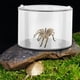 thumbnail image 2 of Botella de paisaje ecológico, botella de paisaje ecológico, caja de alimentación para mascotas de escalada redonda, caja de alimentación para reptiles, diseño fácil de usar, 2 of 8