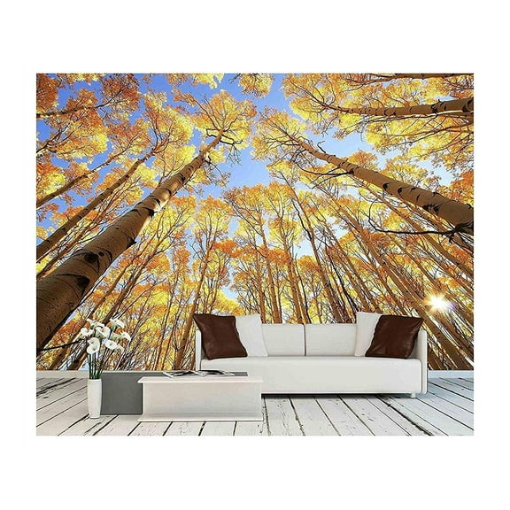 wall26 - Aspen Trees with Fall Color, San Juan National Forest, Colorado, USA - Removable Wall Mural | Self-Adhesive Large Wallpaper - 100x144 inches