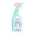 thumbnail image 2 of Glass Cleaner (22 fl. oz.), 2 of 7