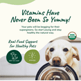 thumbnail image 4 of kin+kind Organic Multivitamin for Dogs & Cats - Vitamins and Supplements for Immune Support, Healthy Skin+Coat - Natural Formula with Wheatgrass, Kelp, Flax Seed, Seaweed and Coconut - Made in USA, 4 of 11