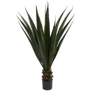 HomeStock 52In. Giant Tuscan Temptations Plant