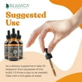 thumbnail image 4 of Rejuvica Health Activated Male Support Liquid Supplement - Ashwagandha, Mucuna, & More!, 4 of 6