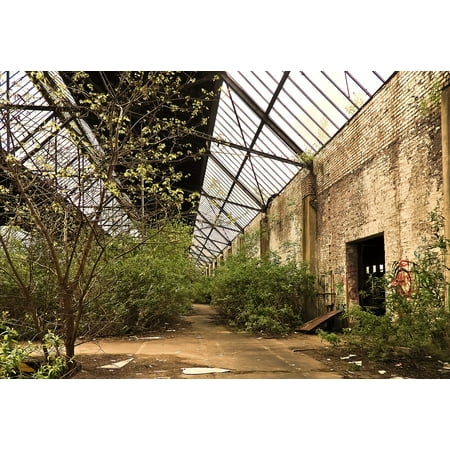 Name Train Wall Mount Acrylic Face Mounted Prints Lost Places Old Railway Depot Ruin Decay Train Print 20 x 16. Worry Free Wall Installation - Shadow Mount is Included. ()