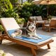 thumbnail image 5 of Alfombrilla refrescante para perros y gatos, lavable, con base antideslizante, almohadilla de hielo portátil para aliviar el calor, múltiples tamaños, uso en interiores y exteriores., 5 of 6