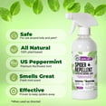thumbnail image 2 of Aerosol repelente de arañas Mighty Mint, aceite de menta, 240 ml, paquete de 2, 2 of 7