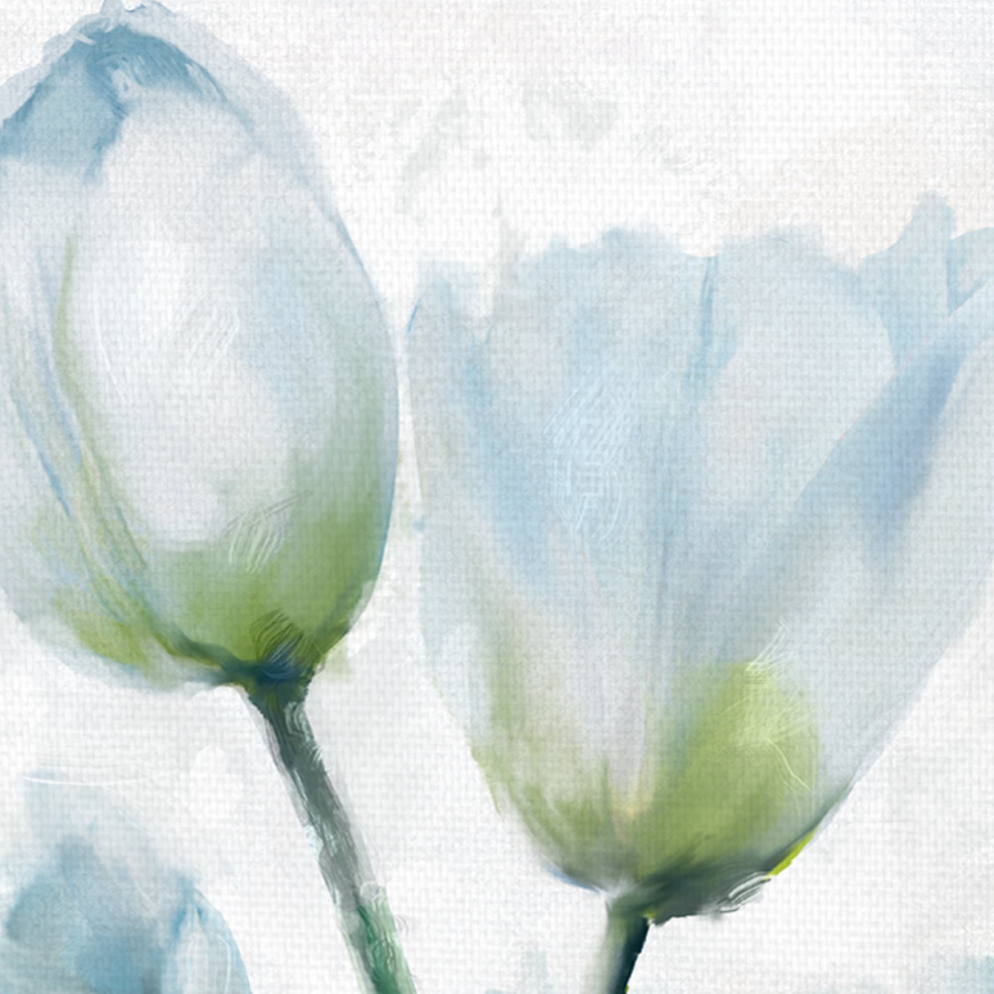 Tulip Gethering I by Studio Arts Wrapped Canvas Art Print