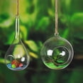 thumbnail image 4 of EeaseCA Create Refreshing Transparent Hanging Glass Planter Terrarium Vase Home Decor (Orb), 4 of 7