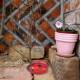 thumbnail image 4 of WASHWEPE Caja Decorativa Guardallaves En Forma De Mariquita Para Exterior Con Impermeable, 4 of 6