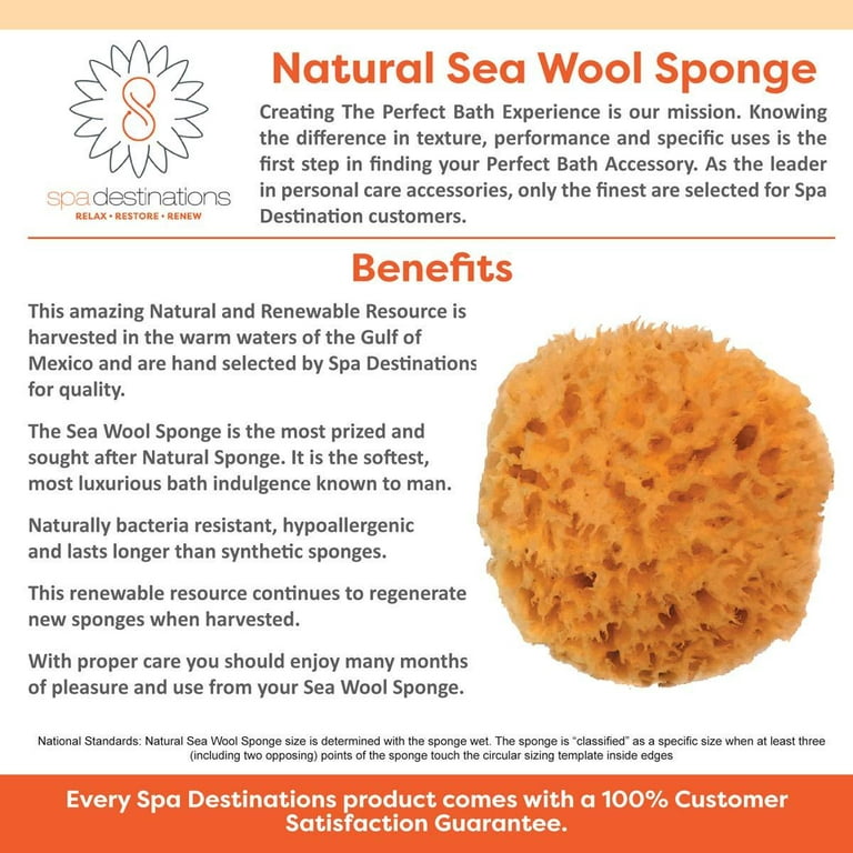 SEA SPONGE 1pc, 4-5 Luxury Natural Bathing or Cosmetic Sea Sponge,  Sustainably Harvested, Two Wild Hares