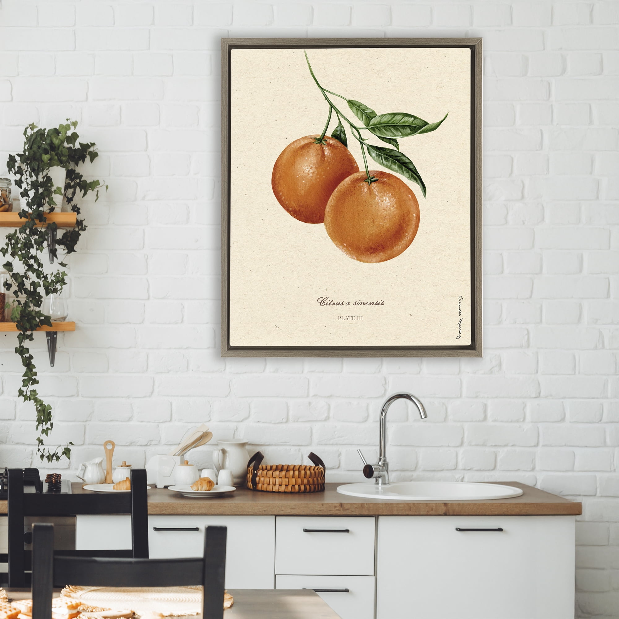 Stupell Industries Orange Fruit Portrait Brown Framed Floater Canvas Wall Art, design by Danielle Murray