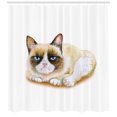 thumbnail image 3 of Ambesonne Animal Shower Curtain, Grumpy Angry Cat Love, 69"Wx70"L, Brown and Beige, 3 of 3