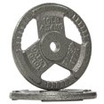 thumbnail image 1 of Placa de pesas Fitvids de hierro fundido para entrenamiento de fuerza y ​​levantamiento de pesas, centro de 1 pulgada, 10 libras (juego de 2), 1 of 1