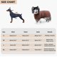 thumbnail image 4 of Dog Bathrobe Towel - Microfibre Fast Drying Super Absorbent Pet Dog Cat Bath Robe Towel,soft, 4 of 5