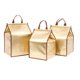 thumbnail image 2 of 1 bolsa de mano reutilizable, bolsa aislada, bolsa de mano, bolsa térmica para almacenamiento de helados (champán dorado, 6 pulga HOMEMAXS 8045271-MX, 2 of 6