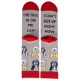 thumbnail image 1 of C Mujeres Niñas Novedad Refranes divertidos Calcetines largos Dibujos animados para gato Perro Temática Casual Linda Tobillera Medias para amantes de los animales Regalos de Navid, 1 of 5