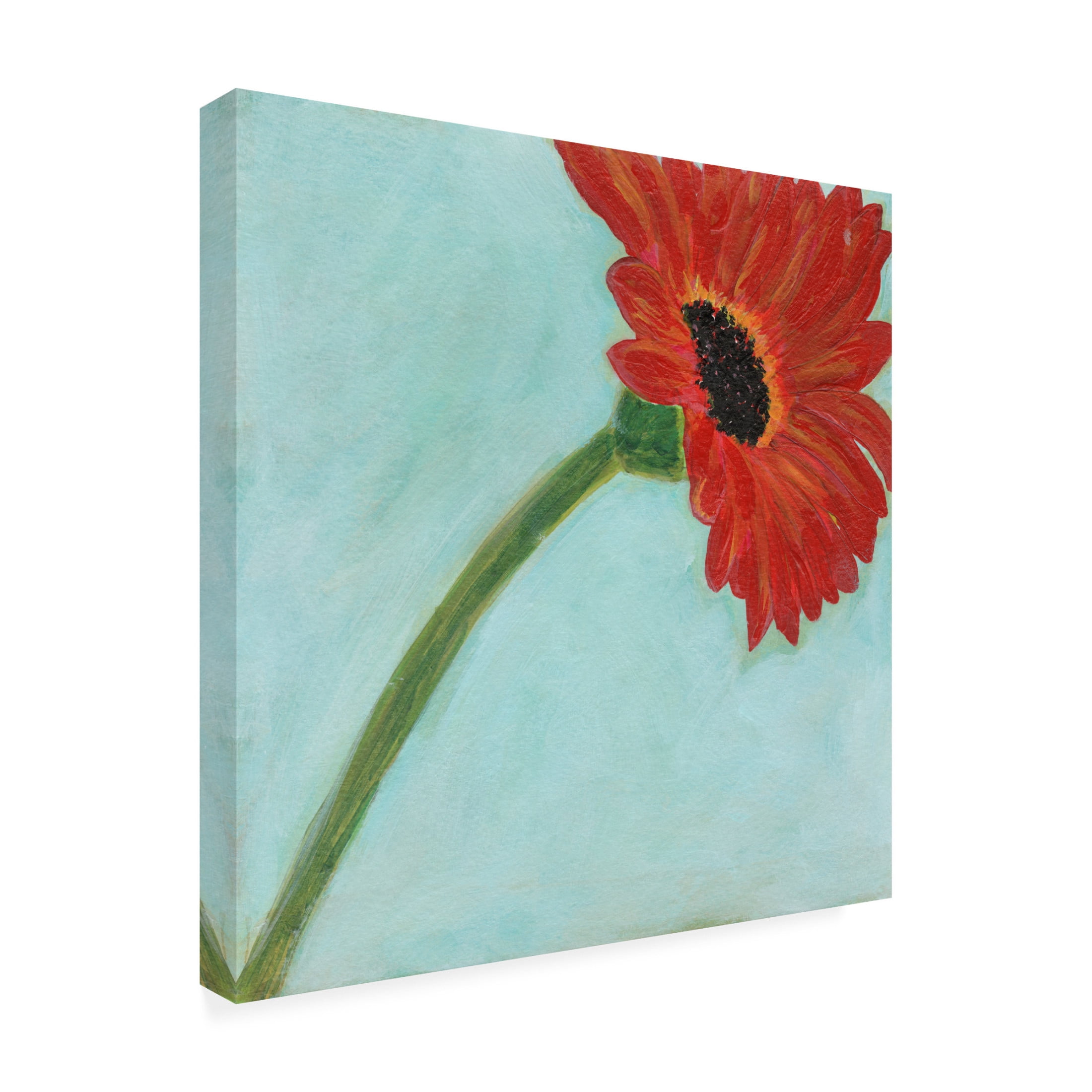 Canvas Wall Art - Jodi Fuchs 'Super Daisy II' Wall Art for Living Room, Bedroom, or Office Décor by Trademark Fine Art - 35 x 35 Inches