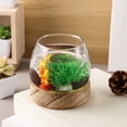 thumbnail image 2 of Shisuyan Bol à Poisson en Verre Terrarium en Verre Réservoir de Poisson Rouge Vase Bol Aquarium Station de Propagation de Pot de Succulentes, 2 of 8