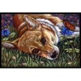 thumbnail image 1 of Carolines Treasures 7325JMAT Corgi Tapis Intérieur & Extérieur Papillon Pastel - 24 x 36 Po., 1 of 4
