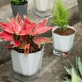thumbnail image 4 of serony Self Watering Flower Automatic Flowerpot Garden Planter Rope Indoor Convenient Stable For House Planting Tool Supply White/L, 4 of 9