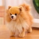 thumbnail image 1 of Premium Cute Real Life Soft Lovely Plush Pomeranian Dog Toy Gift for Kids 11 Inch, 1 of 5