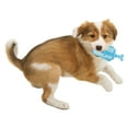 thumbnail image 5 of Pet Life DT22GN Ices Cooling Lick & Gnaw Dog Chew & Teether Toy, Green - One Size, 5 of 5