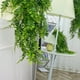 thumbnail image 2 of Toystoory 2 piezas de plantas artificiales de ratán colgantes de vid plantas de vid falsa hojas de plástico verde ramas jardín de pared Decoración Toystoory HA084364-00, 2 of 6