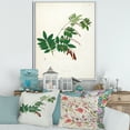 thumbnail image 2 of Designart 'Ancient Botanicals XI' Farmhouse Framed Canvas Wall Art Print, 2 of 5