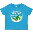 thumbnail image 3 of Inktastic Grandma's Hiking Buddy with Mountains and Trees Boys or Girls Baby T-Shirt, 3 of 5