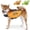 Orange, variant on Newborn Brand Dog Life Jacket for Swimming & Boating,Adjustable Dog Life Vest with Handle,Sports Style, Green,s