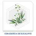 thumbnail image 4 of Insecticida en Aerosol Raid Casa y Jardín Mata Insectos Voladores y Rastreros Esencia Eucalipto 400mL, 4 of 5