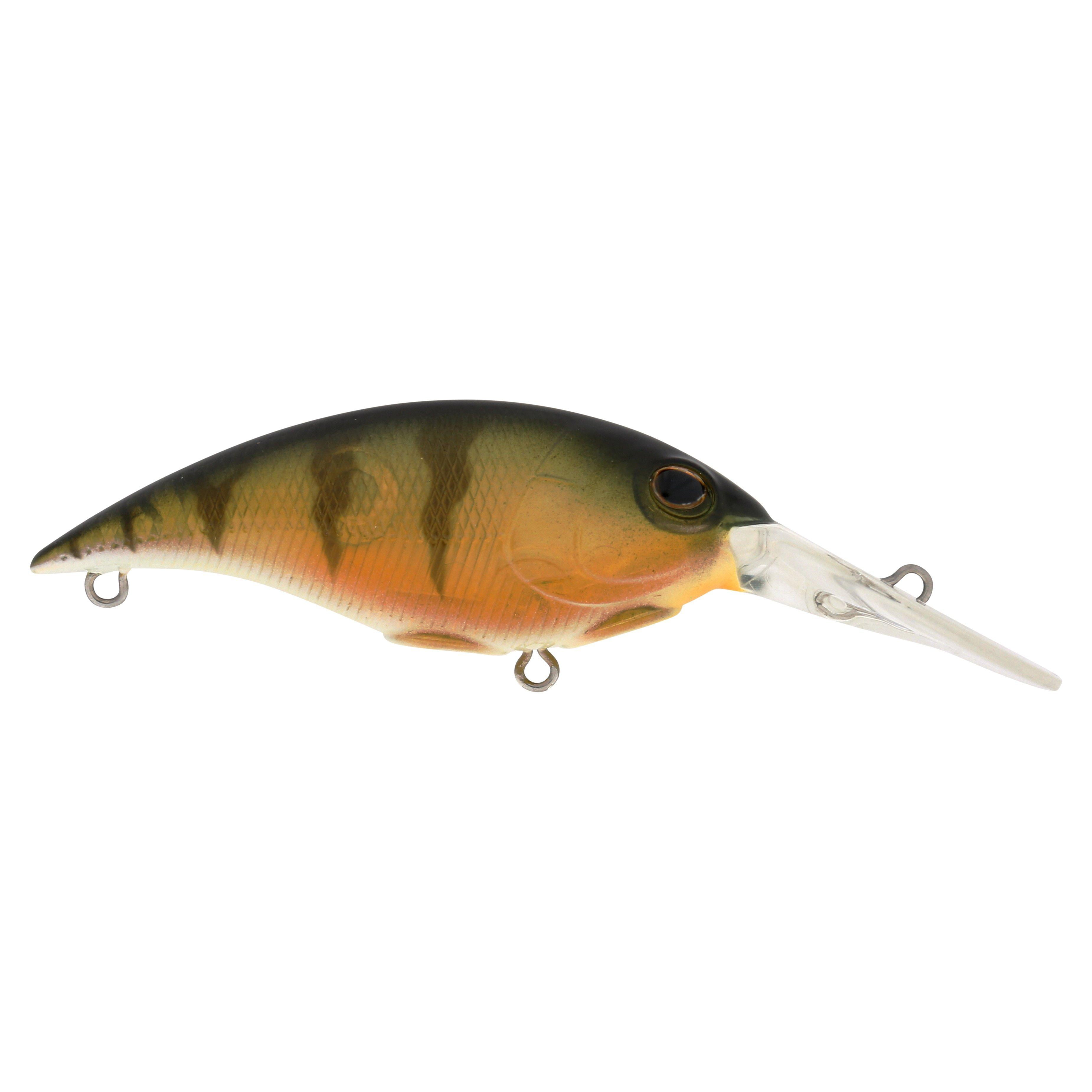 Berkley Money Badger, 5, Perch