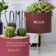 thumbnail image 4 of Macetero con Soporte Ilios Innova JY1105-G Color Rojo, 4 of 5