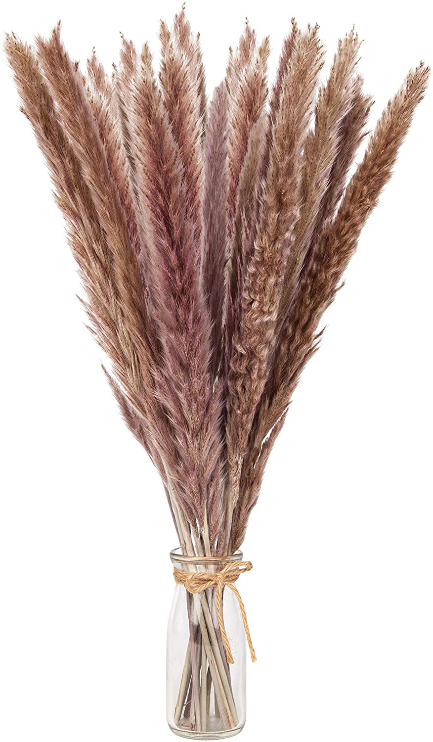 Natural Brown Dried Pampas Grass (30 Stems, 18") Pampas Flower Vase