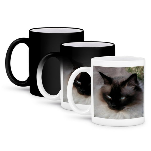 3dRose, Siamese Cat, 11oz Magic Transforming Mug