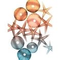 thumbnail image 2 of Koetsier, Albert 12x14 Black Ornate Wood Framed with Double Matting Museum Art Print Titled - Jolly Starfish 1, 2 of 4